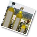 Olive Oil